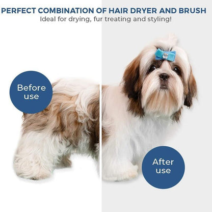 2-in-1 Pet Dryer Brush