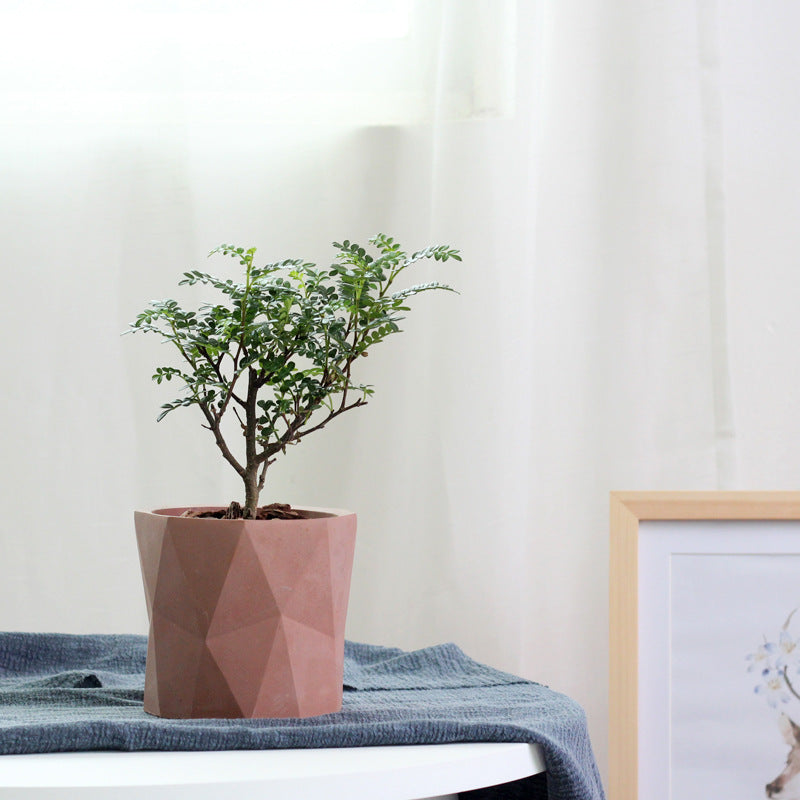 Diamond Pattern Cement Planter