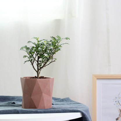 Diamond Pattern Cement Planter